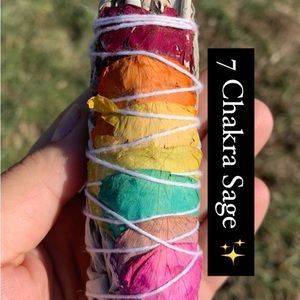 7 Chakra sage
